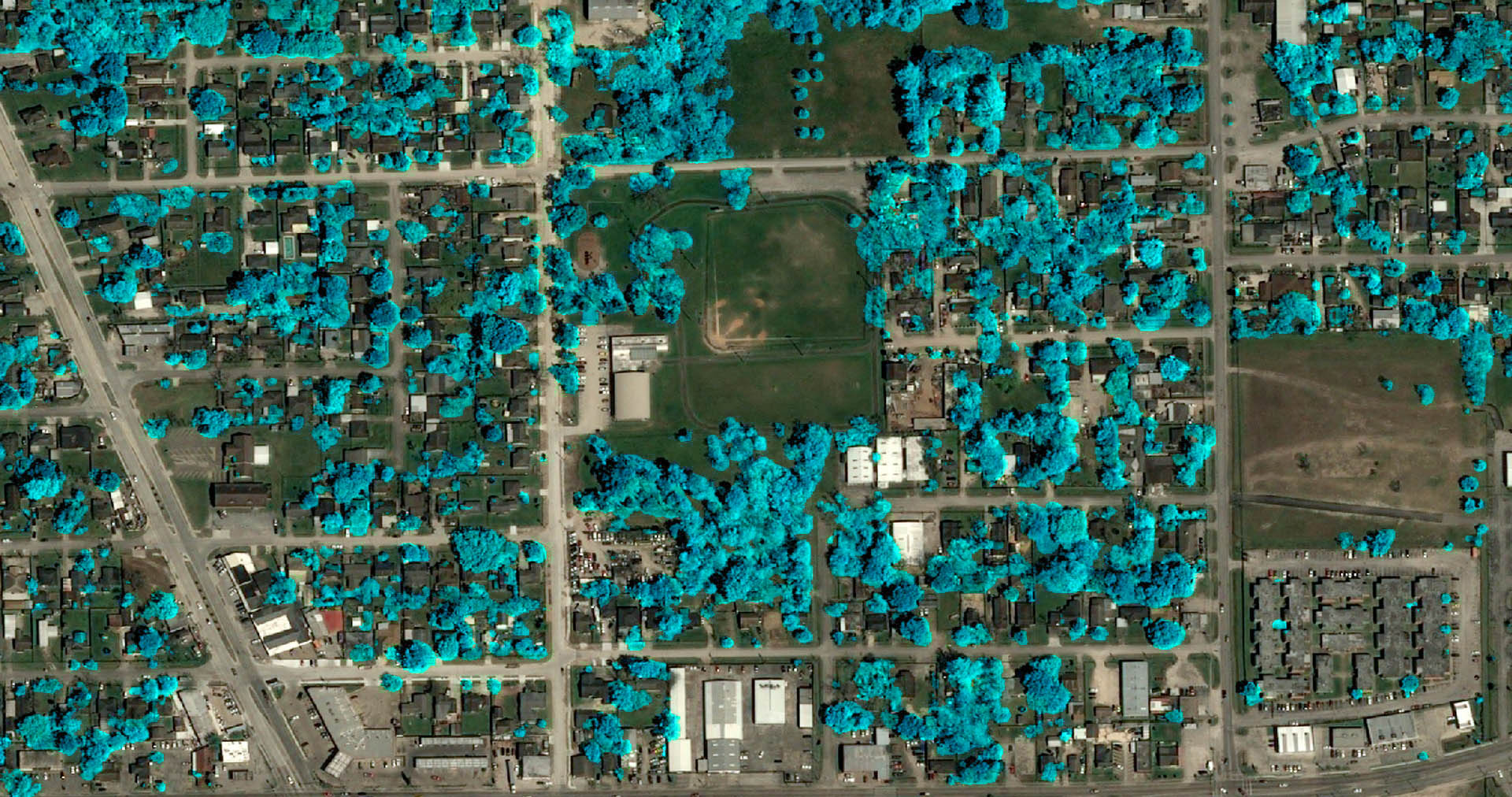 Vegetation Detection AI